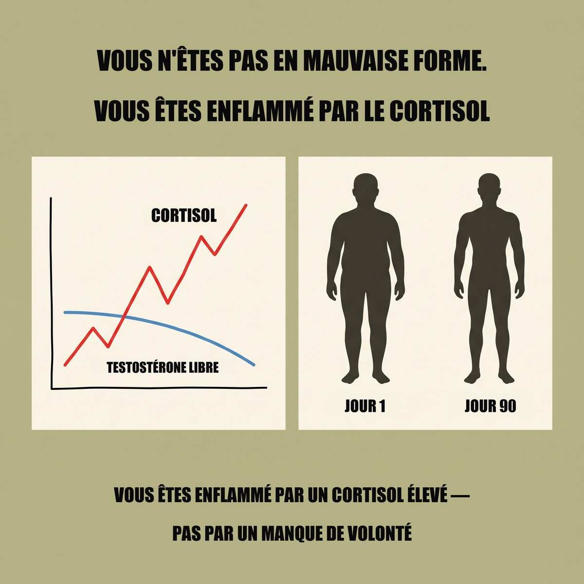 Vous n'êtes pas en mauvaise forme, vous êtes enflammé par le cortisol - graphique cortisol et testostérone libre, comparaison jour 1 et jour 90