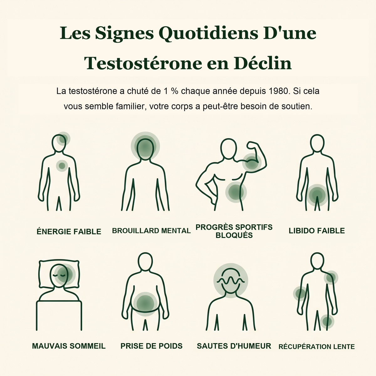 Les signes quotidiens d'une testostérone en déclin - grille de 8 symptômes